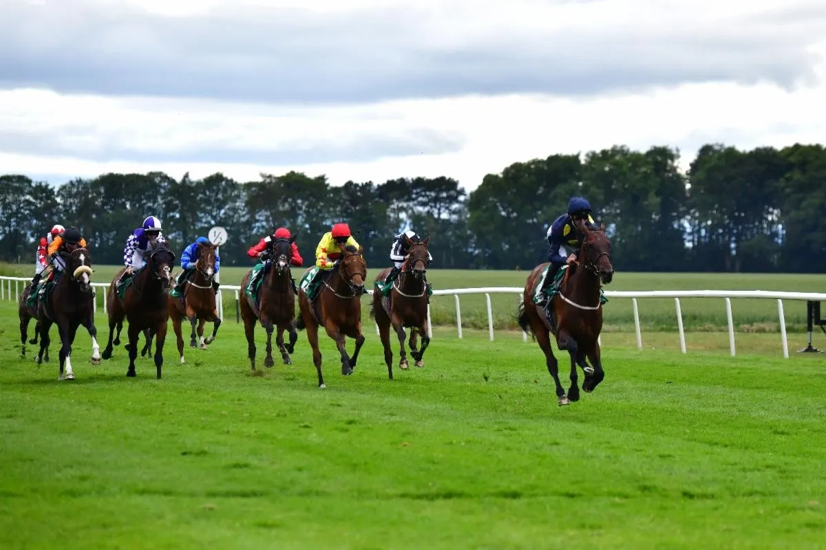 Tate duo primed for Sky Bet Thirsk Hunt Cup